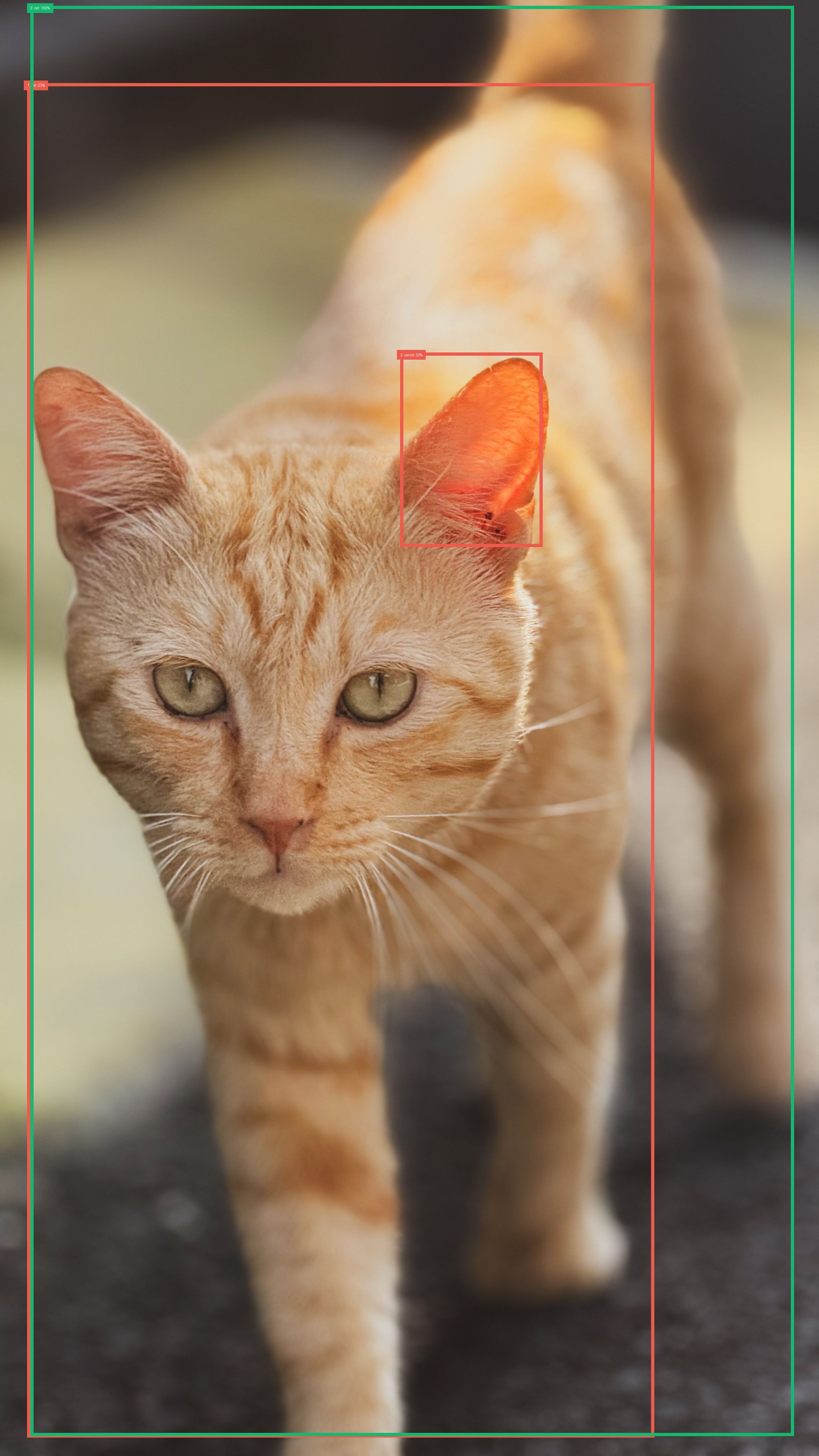 Detekce na pexels-reynaldoyodia-37212043.jpg