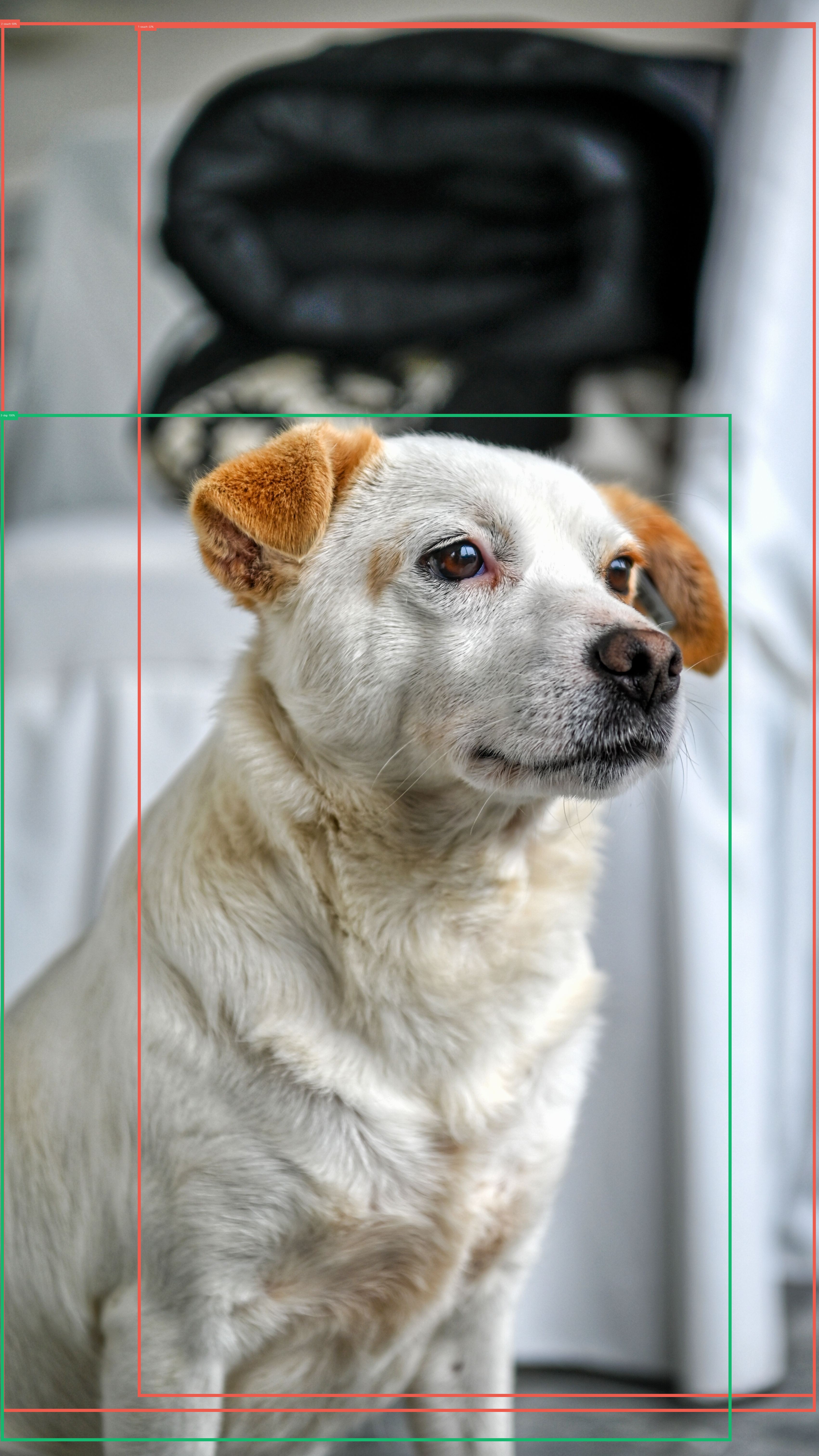 Detekce na pexels-utku-demirbas-2158177292-35358054.jpg
